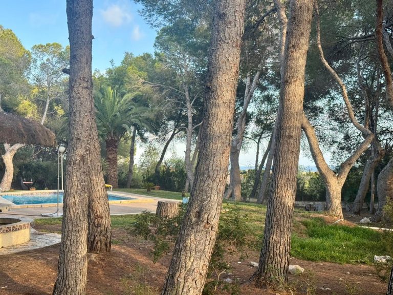 Private finca with sea views and Mediterranean character